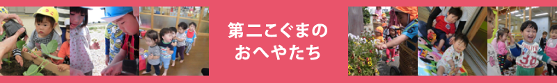 第二こぐまのおへやたち